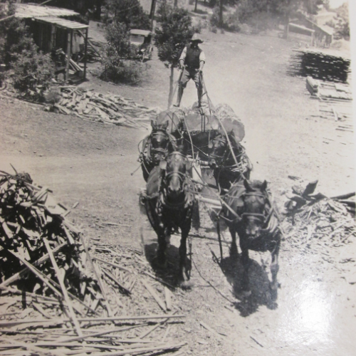 An old image of Randall Lumber & Hardware employees carrying lumber with horses