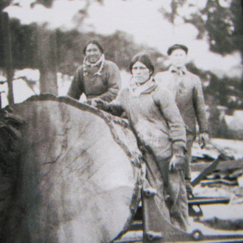 An old image of Randall Lumber & Hardware employees next to a cut down tree