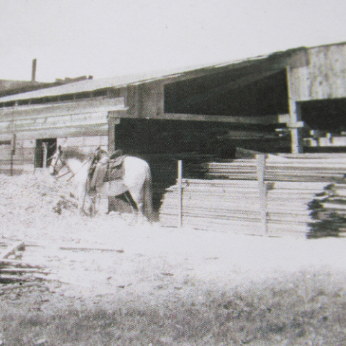An old image of Randall Lumber & Hardware lumberyard and horse