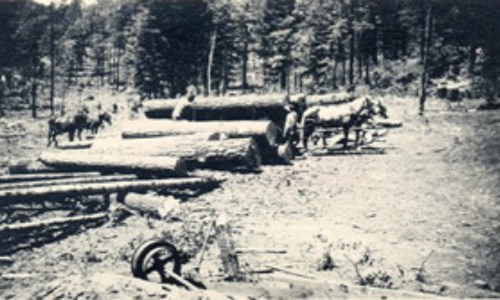 Older photos of Randall Lumber and Hardware