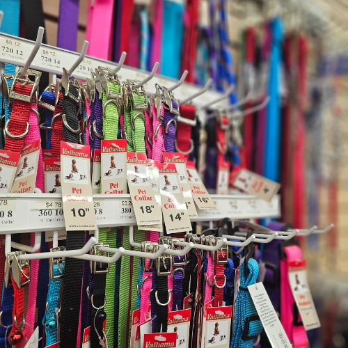 Pet collars on display inside of Randall Lumber & Hardware
