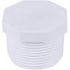 Genova Products PVC Schedule 40 Fittings Plug (MIP)