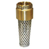 Merrill Mfg FVNL100 Brass Foot Valve ~ 1