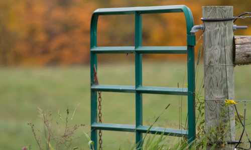 A farm gate in a pasture