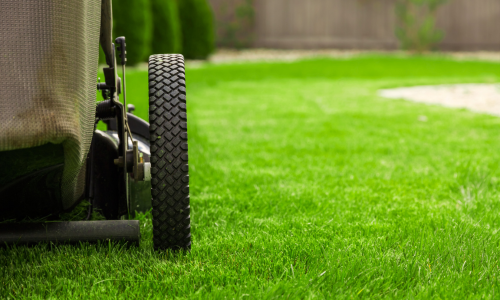 A close up of a lawn mower wheel, ready to cut green grass