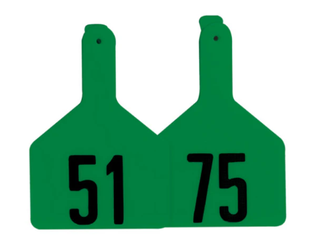 Z Tags No-Snag Calf Ear Tags Green 51-75