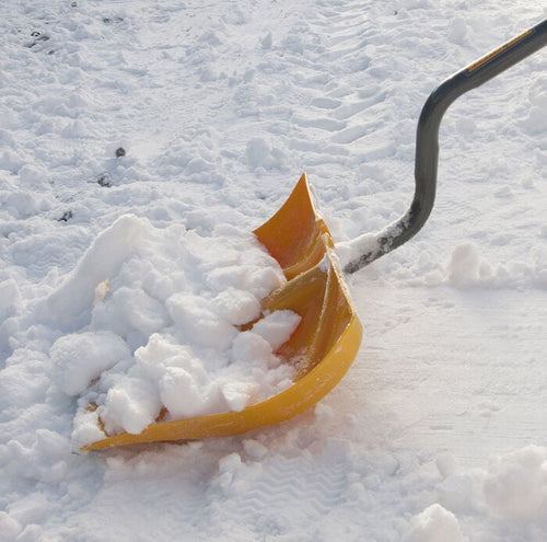 Ames True Temper 18 Inch Poly Combo Snow Shovel with D-Grip on Ergonomic Handle