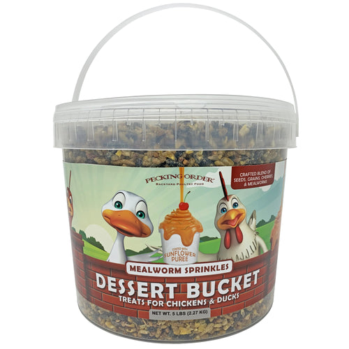 Pecking Order Dessert Bucket with Mealworm Sprinkles