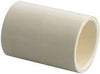 Homewerks Worldwide 1/2 Cpvc Coupling